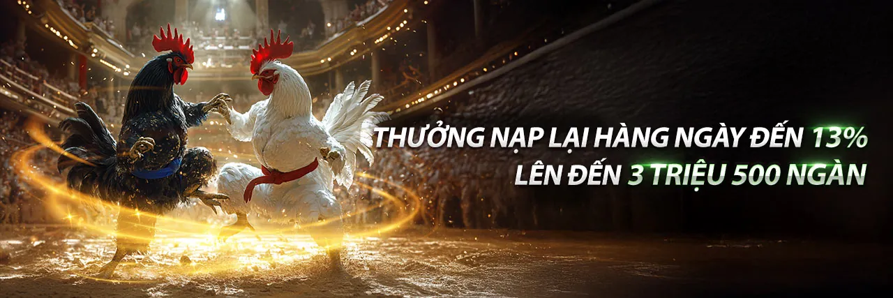Sân vận động với trận đấu bóng đá sôi động, thể hiện cá cược thể thao 13win12 APK